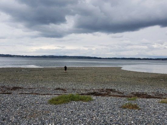 Birch Bay State Park